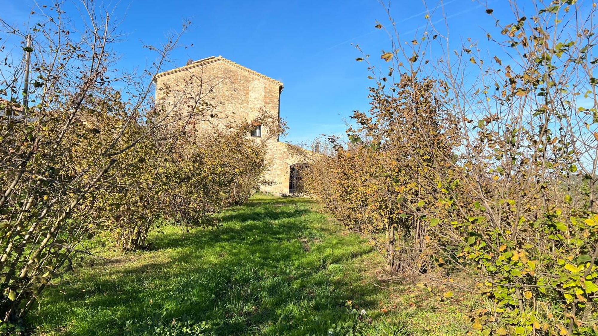 Villa La Creveta Tivissa Esterno foto